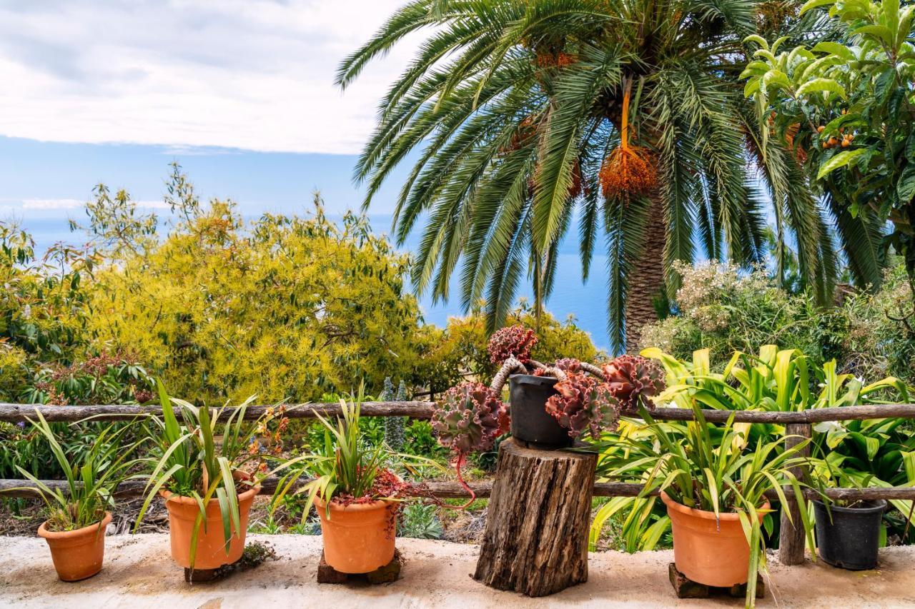 El Palmeral Tinizara ภายนอก รูปภาพ